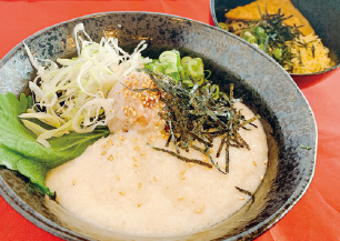 ネギとろろ丼と冷たぬきそば